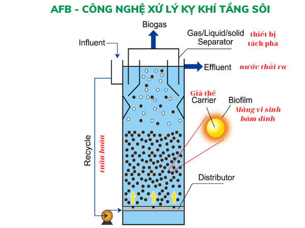 Mô Hình Xử Lý Kỵ Khí Tầng Sôi AFB