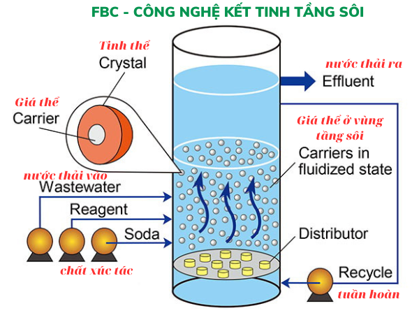 Mô Hình Công Nghệ Kết Tinh Tầng Sôi FBC