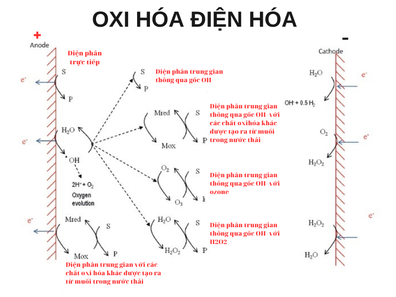 Quá trình phản ứng oxi hóa điện hóa khi xử lý nước thải