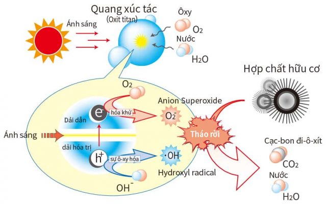 Cơ Chế Quang Xúc Tác TIO2