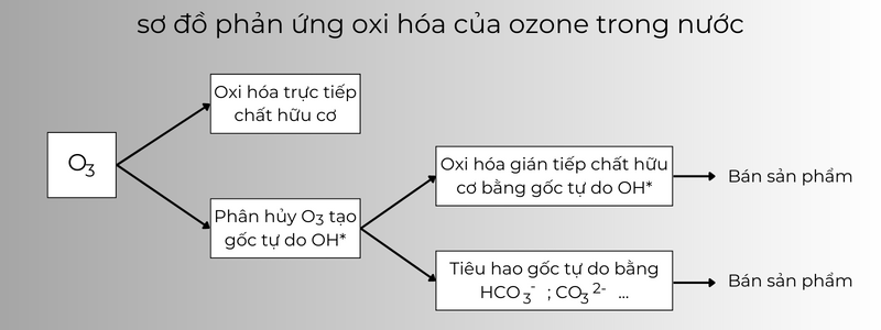 Quá Trình Oxi Hóa của Ozone